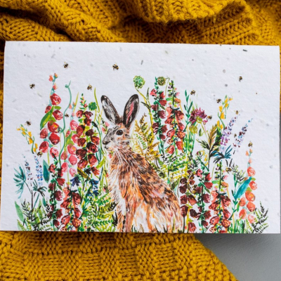 Hare in Meadow | Plantable Seed Card | Sorrel & Sage Florist - Greetings Cards & Gifts | Sorrel & Sage Florist | Owd Barn at Bispham | 01704 790244 | Parbold Florist | Mawdesley Florist | Rufford Florist | Lathom Florist | Burscough Florist